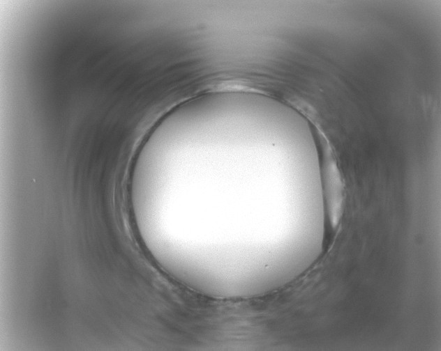 X0000068300289200605051940