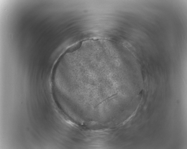 X0000068300290200605051940