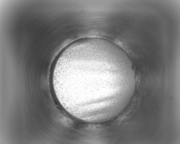 X0000068300292200605051940