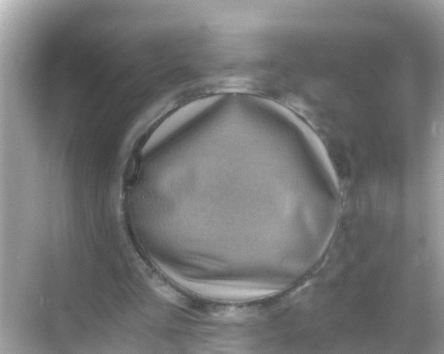 X0000068300293200605051940