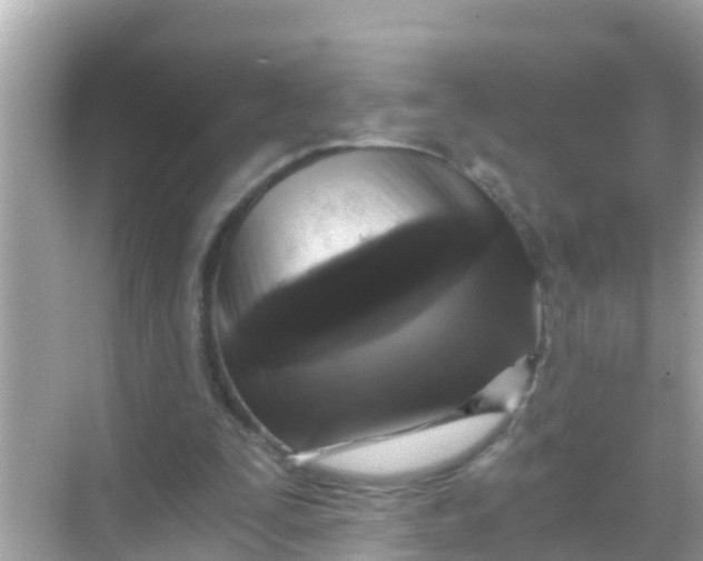 X0000068300295200605051940