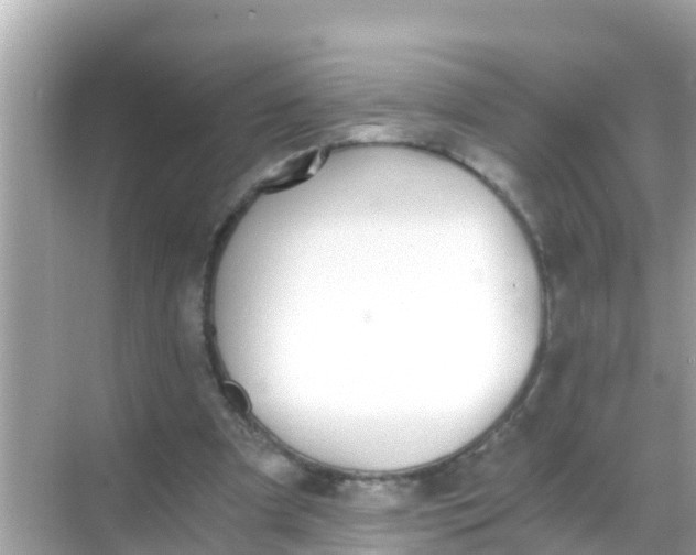 X0000068300297200605051940