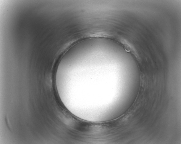 X0000068300298200605051940