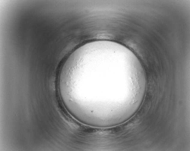 X0000068300299200605051940