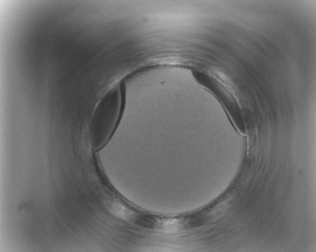 X0000068300301200605051940