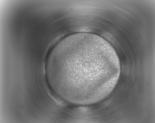 X0000068300302200605051940