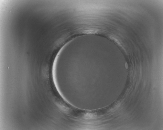 X0000068300303200605051940