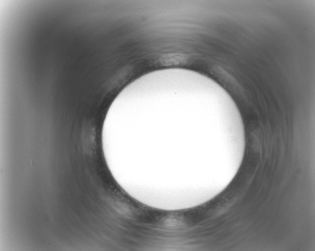 X0000068300308200605051940