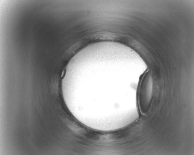 X0000068300309200605051940