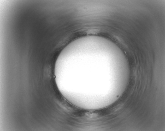 X0000068300311200605051940