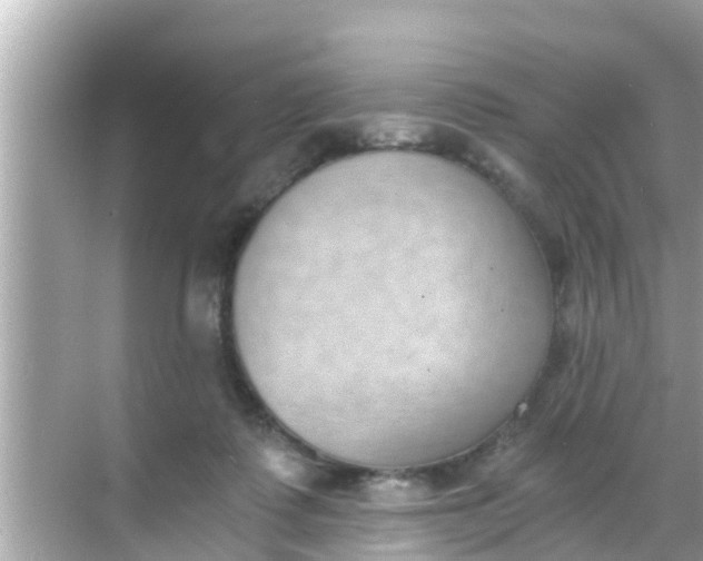 X0000068300315200605051940