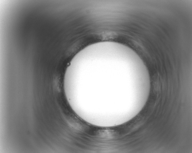 X0000068300316200605051940