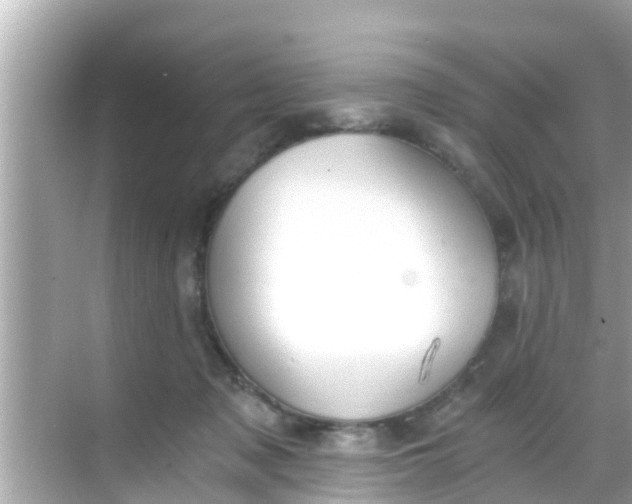 X0000068300317200605051940