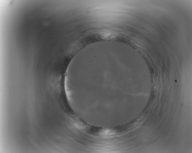 X0000068300319200605051940