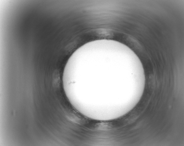 X0000068300320200605051940