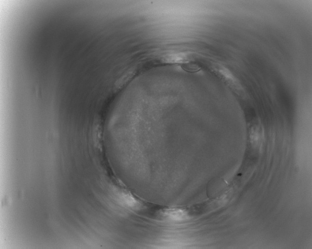 X0000068300322200605051940