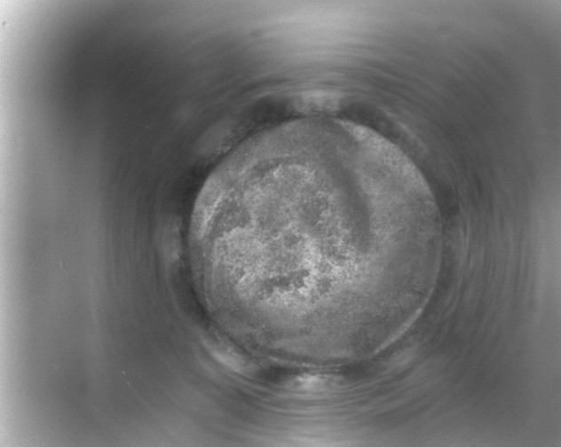 X0000068300323200605051940