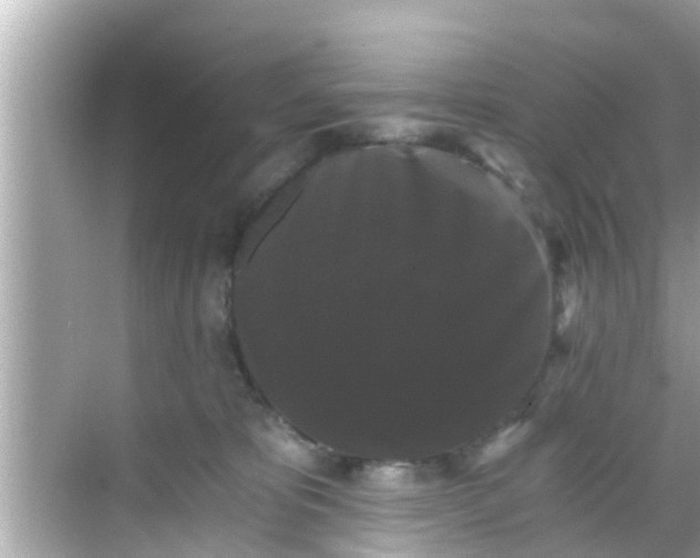 X0000068300325200605051940