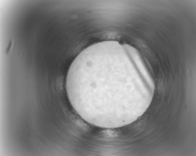 X0000068300326200605051939