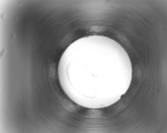 X0000068300328200605051939