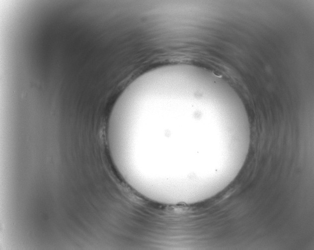 X0000068300329200605051939