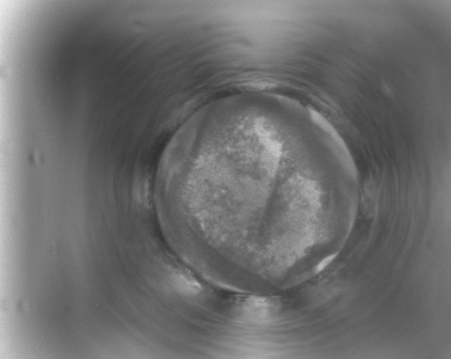 X0000068300330200605051939