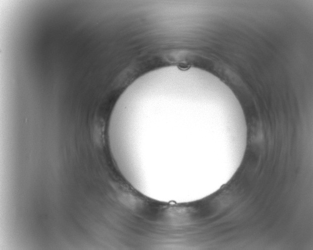 X0000068300332200605051939