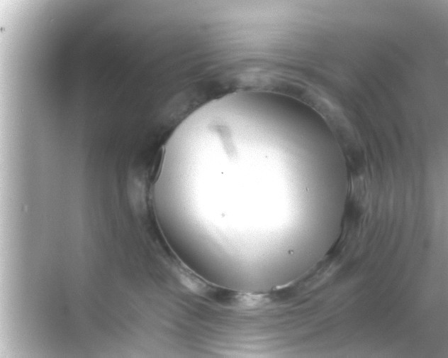 X0000068300333200605051939