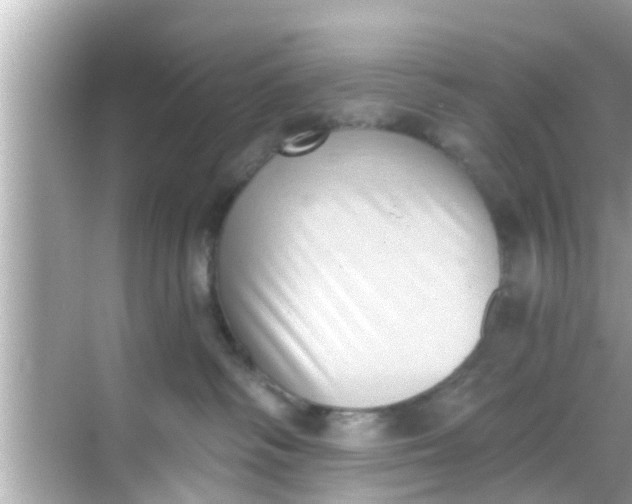 X0000068300334200605051939