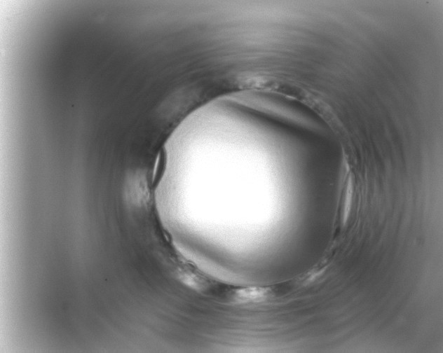 X0000068300335200605051939