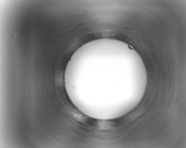 X0000068300336200605051939