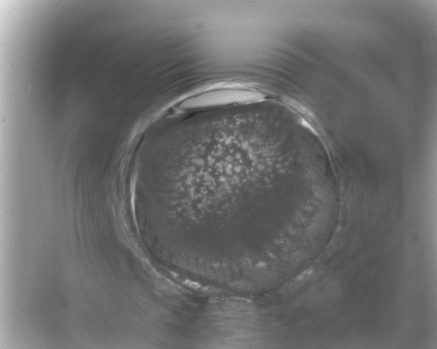 X0000068300337200605051939