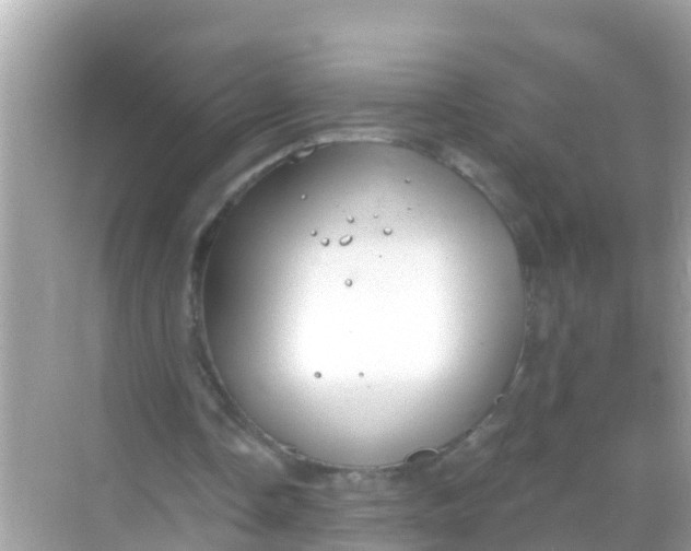 X0000068300338200605051939