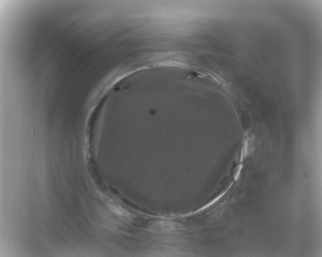 X0000068300339200605051939