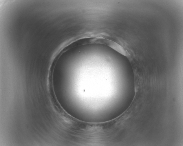 X0000068300340200605051939