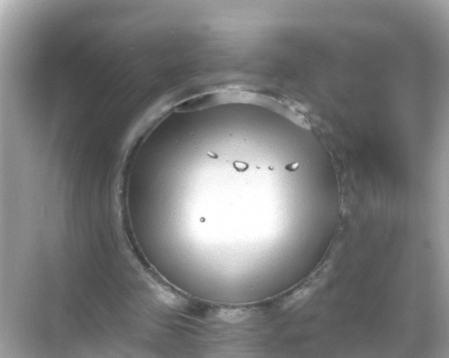 X0000068300341200605051939