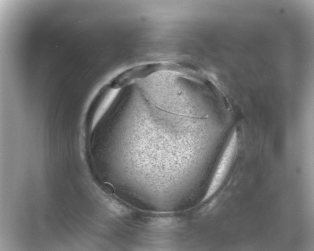 X0000068300342200605051939