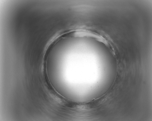 X0000068300344200605051939