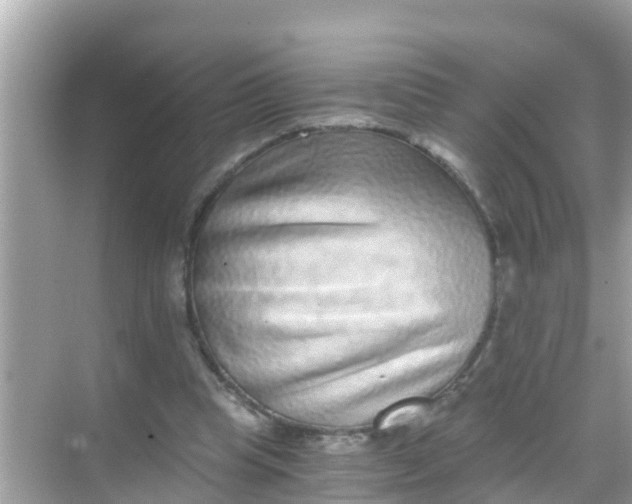 X0000068300345200605051939