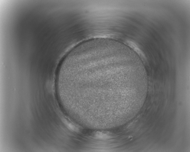 X0000068300346200605051939