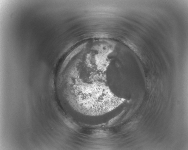 X0000068300347200605051939