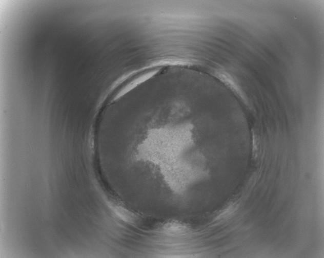 X0000068300348200605051939