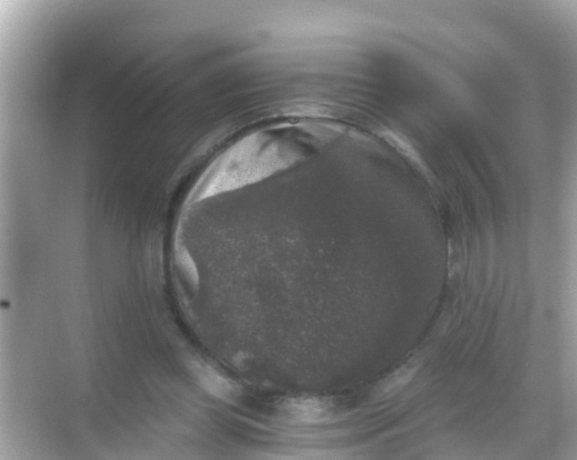 X0000068300349200605051939