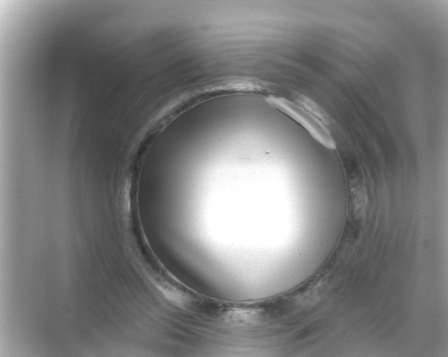 X0000068300350200605051939