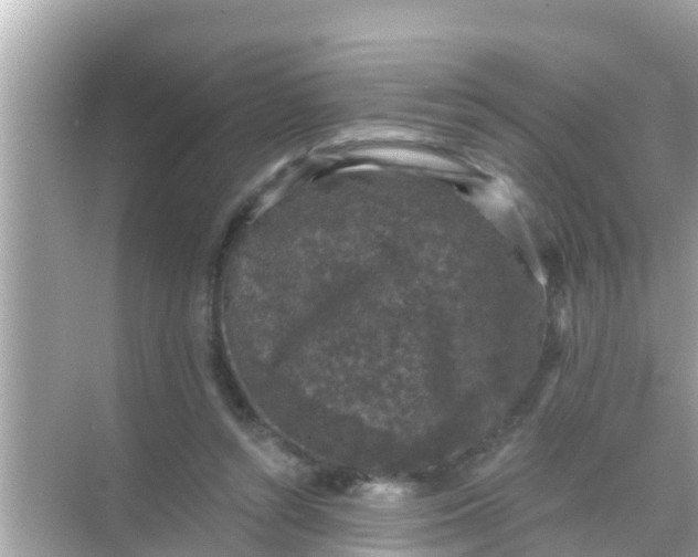 X0000068300352200605051939