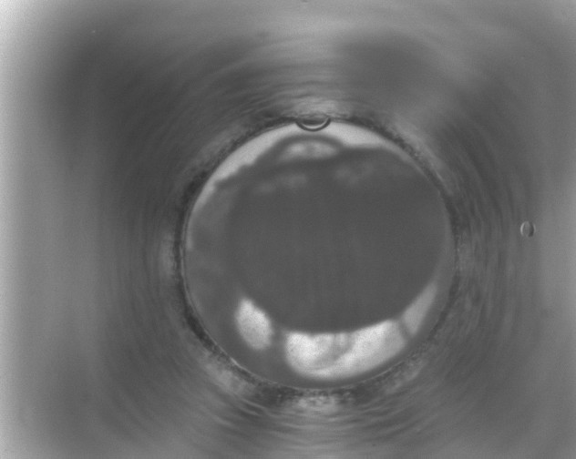 X0000068300353200605051939