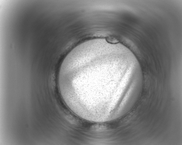 X0000068300354200605051939