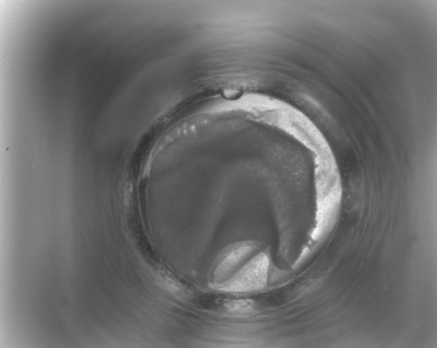 X0000068300355200605051939