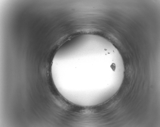 X0000068300356200605051939