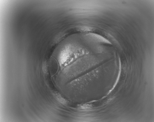 X0000068300359200605051939